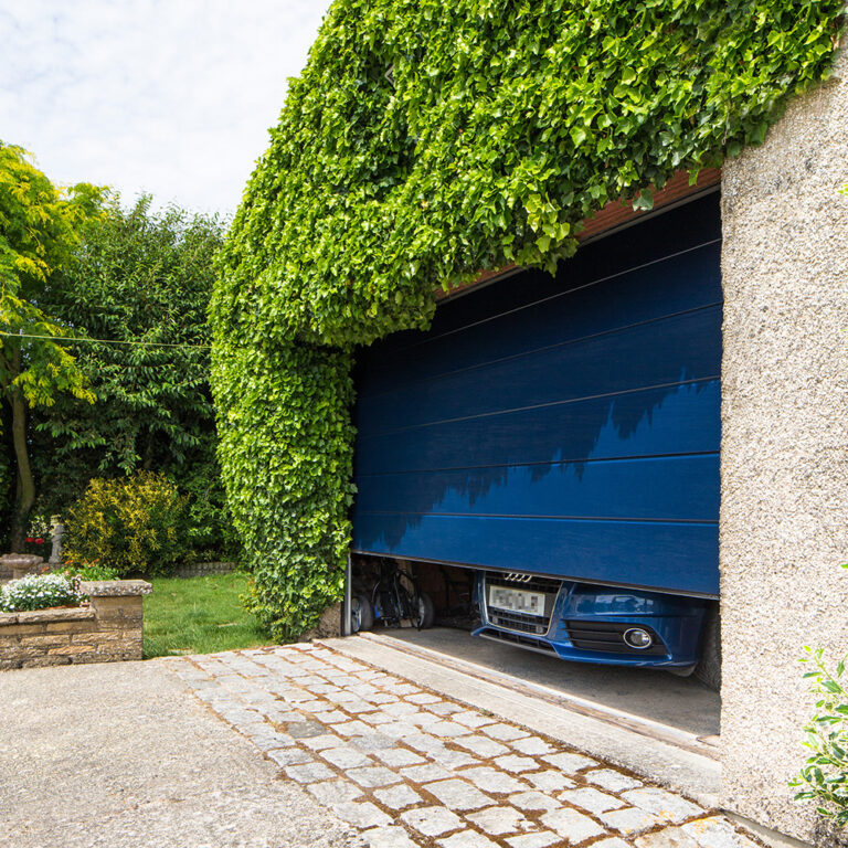 Blue sectional garage door fitted to a leafy property in Worthing